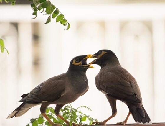 how to talk to your spouse